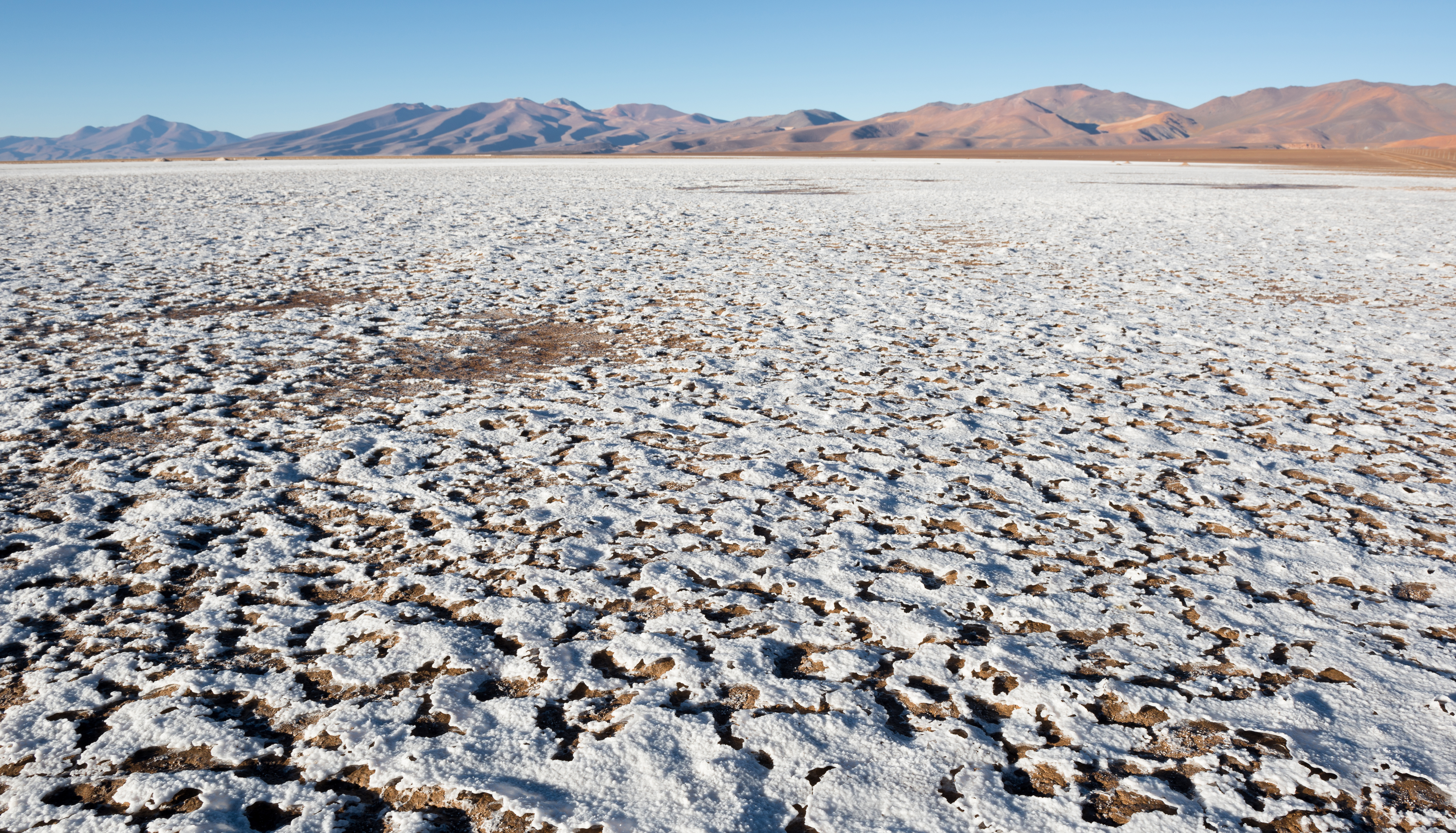 CORFO and InvestChile meet companies in Japan to promote tender for specialized lithium producers