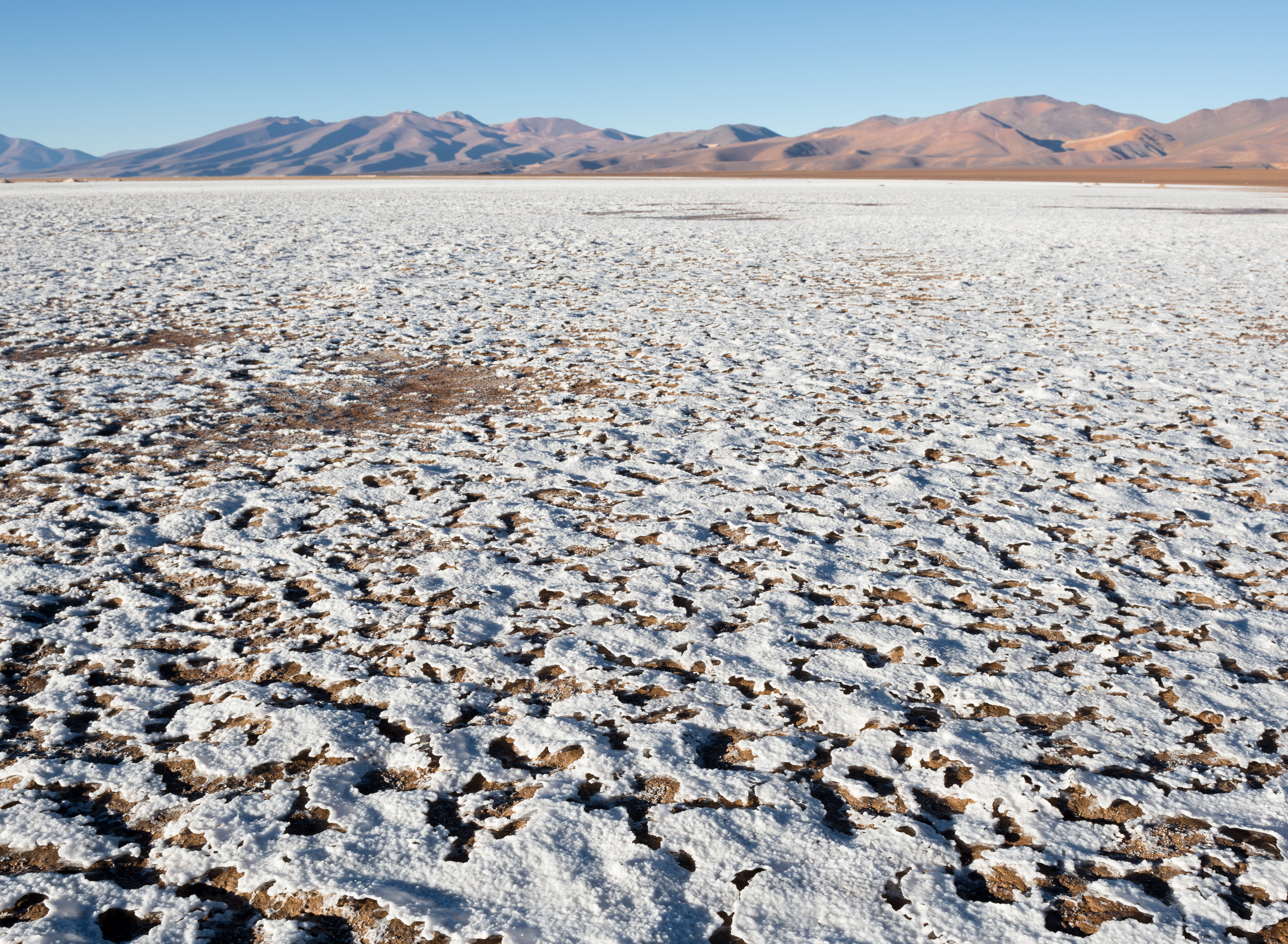Corfo calls specialized lithium producers to invest in Chile with stable supply and at a preferential price