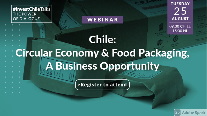 About InvestChile Background